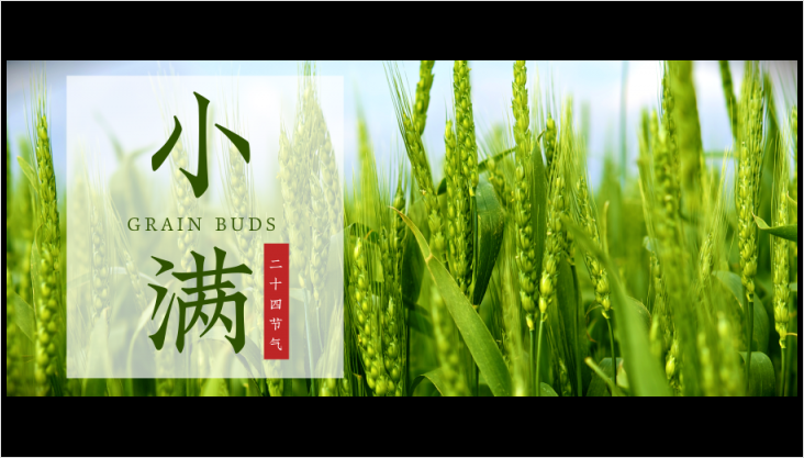 【弘藝裝飾】初夏裝修月，五月工地連連開工
